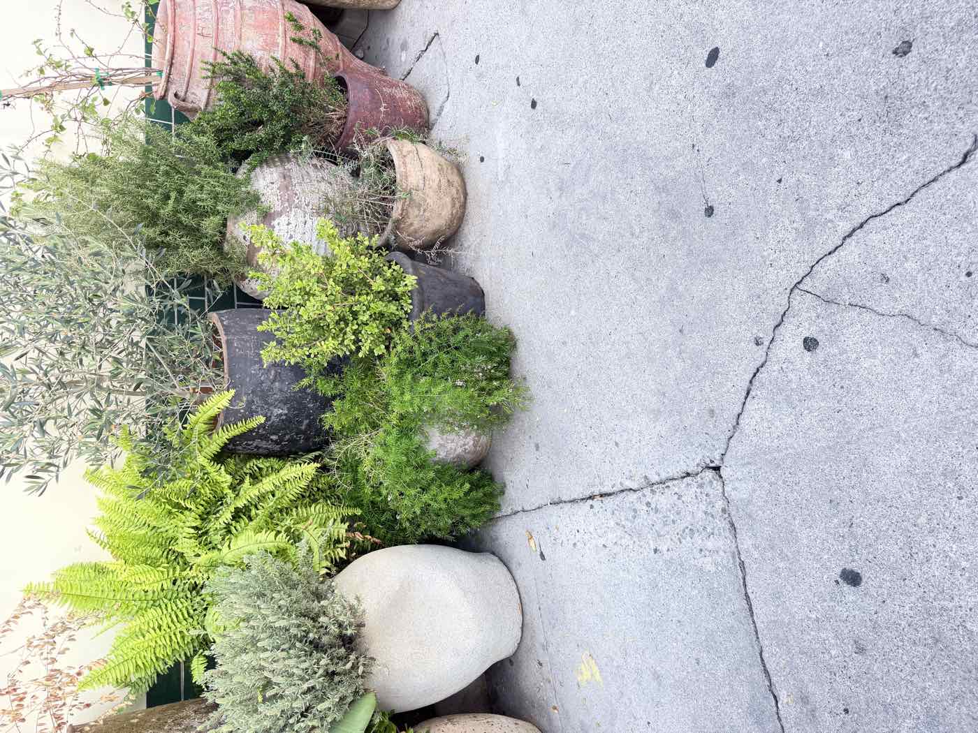 Outdoor venue setting with plants and a concrete surface at an event location